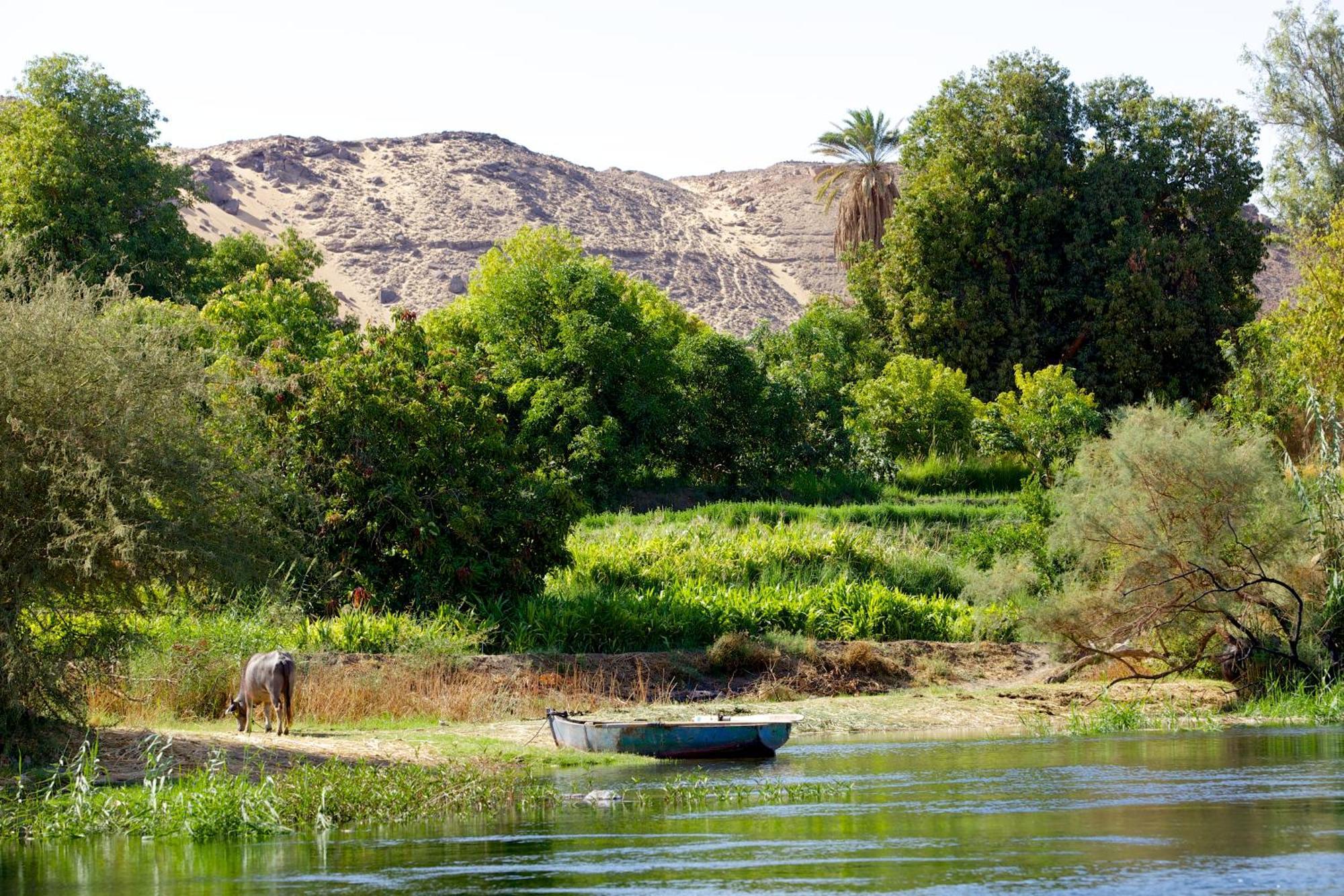 Hadouta Masreya Nubian Guest House Asvan Dış mekan fotoğraf